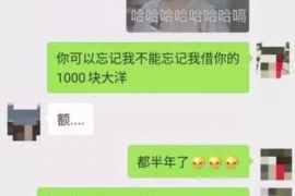 开县开县的要账公司在催收过程中的策略和技巧有哪些？